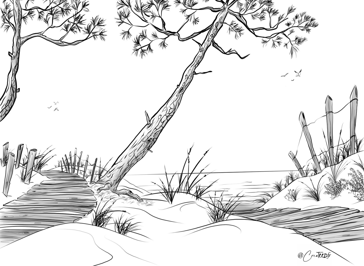 fresque murale Createed originale et uniques réalisée par Olivier Guéry